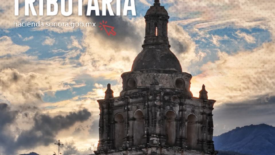 Revista Sonora Tributaria - Marzo 2025